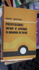 Puerperiumul Normal Si Patologic La Animalele De Ferma- IOAN BOITOR foto