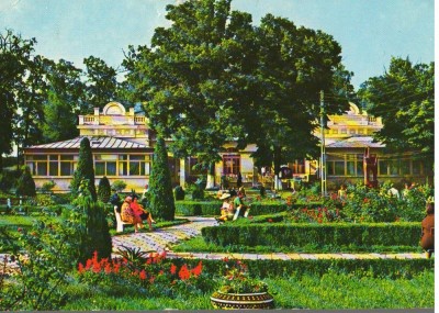 CPI (B8987) CARTE POSTALA - ORADEA. BAILE 1 MAI, VEDERE DIN PARC foto