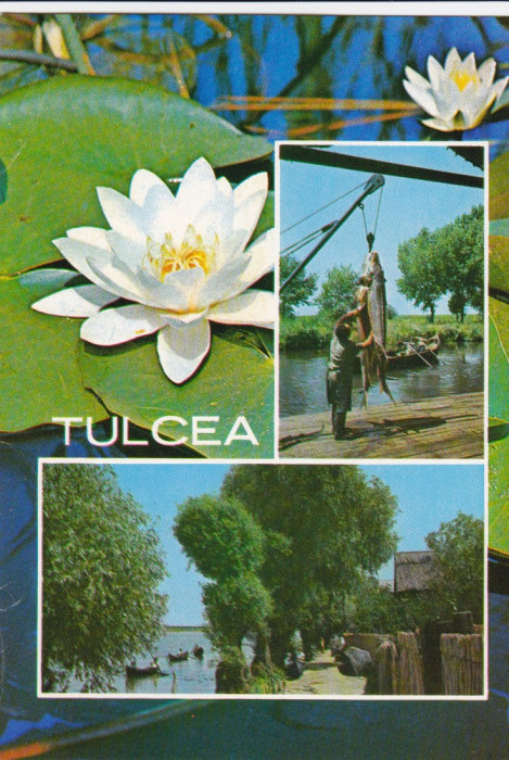 CARTE POSTALA , TULCEA 1972 1