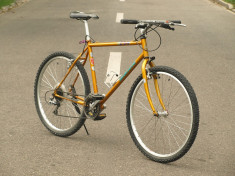 MTB Bianchi LT-250 foto