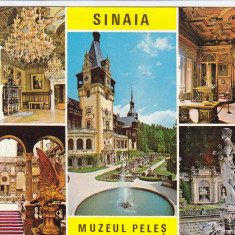 CARTE POSTALA , SINAIA , MUZEUL PELES , 1973