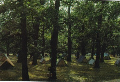 CARTE POSTALA SIBIU CAMPING LA DUMBRAVA 1967 foto