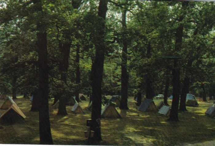 CARTE POSTALA SIBIU CAMPING LA DUMBRAVA 1967