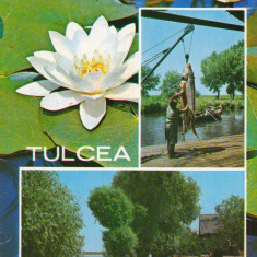 CARTE POSTALA , TULCEA 1972, 2