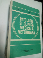 PATOLOGIE SI CLINICA MEDICALA VETERINARA - Barza , May, Ghergariu , Hagiu foto