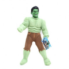 Avengers ? Hulk figurina plus 27cm foto