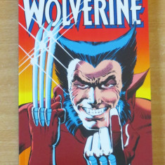 Wolverine (Panini Pocketbooks) Marvel Comics