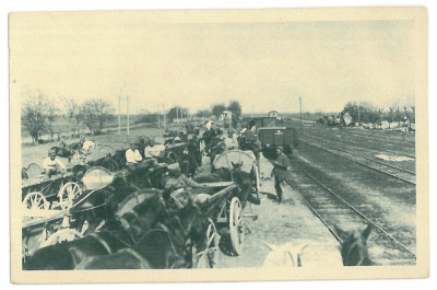 1296 - CILIBIA, Buzau, Railway Station - old postcard - unused foto