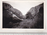 Bnk foto - Cheile Turzii - anii `60, Alb-Negru, Romania de la 1950, Natura