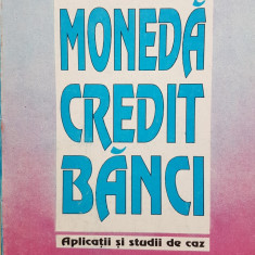 MONEDA CREDIT BANCI APLICATII SI STUDII DE CAZ - Basno, Dardac, Floricel