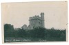 734 - CRAIOVA, Bibescu Park - old postcard, real PHOTO - unused, Necirculata, Fotografie