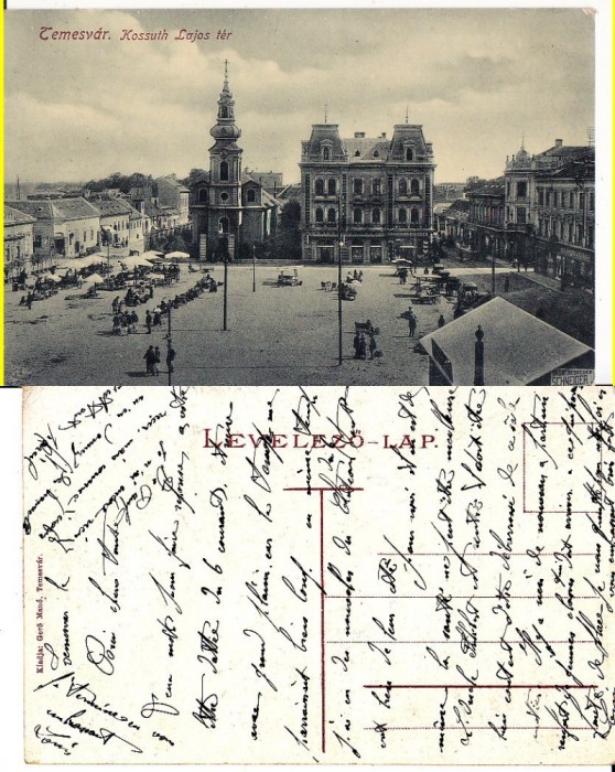 Timisoara - rara-animata