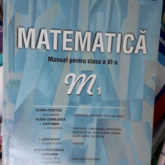 MATEMATICA M1 CLASA A XI A - BURTEA