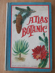 ATLAS BOTANIC, 1930- cuprinzand 586 de gravuri in color- CARTONATA foto