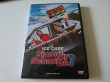 Sintem daja acolo ? - dvd-308, Engleza