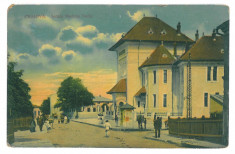 720 - CRAIOVA, Madona DUDU, school - old postcard - used - 1914 foto