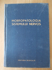 MORFOLOGIA SISTEMULUI NERVOS-NICULESCU- cartonata foto