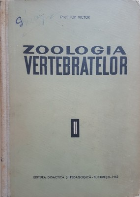 ZOOLOGIA VERTEBRATELOR - Pop Victor (volumul II - Mamiferele) foto