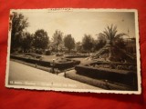 Ilustrata Baile Buzias ,grupa mare cu flori 1937 Ed.Bazar Klauber Buzias, Circulata, Fotografie