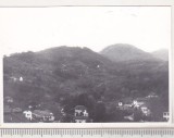 Bnk foto - Olanesti - 1966, Alb-Negru, Romania de la 1950, Natura