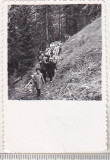 Bnk foto - Brasov - Poteca spre Postavaru - 1959, Alb-Negru, Romania de la 1950, Natura