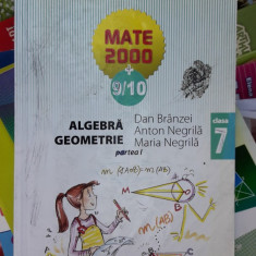 ALGEBRA GEOMETRIE CLASA A VII A PARTEA 1 SI PARTEA 2 NEGRILA , BRANZEI