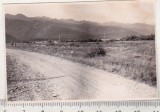 Bnk foto - Beius 1964 - Vedere spre munti, Alb-Negru, Romania de la 1950, Natura