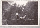 bnk foto - Cheile Turzii - anii `60