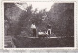 Bnk foto - Cheile Turzii - anii `60, Alb-Negru, Romania de la 1950, Natura