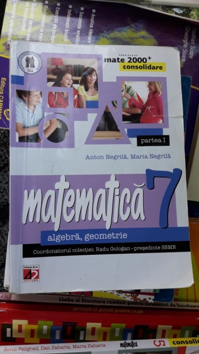 MATEMATICA CLASA A VII A - ALGEBRA GEOMETRIE . NEGRILA