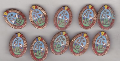 bnk ins Insigna Pionier - Micul Naturalist - lot 10 bucati foto
