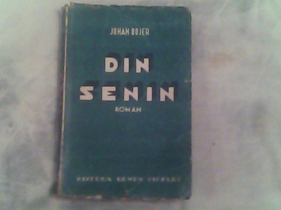 Din senin-Johan Bojer foto