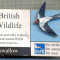 ZET1371 INSIGNA -BRITISH WILDLIFE -RSPB -FOR BIRDS -FOR PEOPLE -FOR EVER