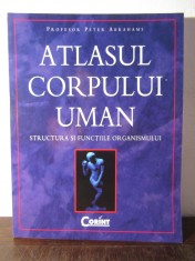 ATLASUL CORPULUI UMAN , STRUCTURA SI FUNCTIILE ORGANISMULUI de PETER ABRAHAMS foto