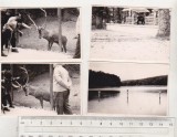 Bnk foto - Dumbrava Sibiului - Lot 4 fotografii - anii `60, Alb-Negru, Romania de la 1950, Natura