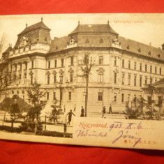 Ilustrata - Oradea circulat 1903 - piesa clasica