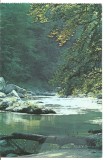 (A) carte postala(ilustrata)-VALEA CERNEI