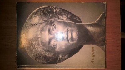 Petru Comarnescu (text de) - Gh. D. Anghel (Editura Meridiane, 1966) foto