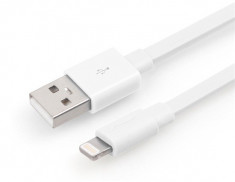 Cablu de date/incarcare Apple/Iphone Lightning, 1m, foto