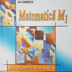 MATEMATICA M1 MANUAL PENTRU CLASA A XI-A - Tena, Andronache, Serbanescu