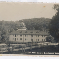 3151 - GOVORA, Valcea - old postcard, real PHOTO - unused - 1939