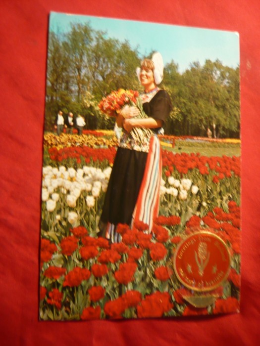 Ilustrata - Folclor- Femeie olandeza in costum national cu vigneta Olanda