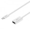 Astrum Adaptor Convertor USB Type-C la Display Port (Mama)