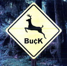 Buck - Buck ( 1 VINYL ) foto