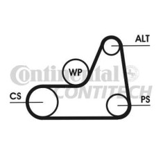 Curea transmisie / accesorii Ford Focus 1.4 16V / 1.6 16V fabricat in perioada 10.1998 - 12.2007 Contitech cod 1826- 6PK1042ELAST foto