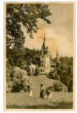 3455 - SINAIA, Prahova, Peles Castle - old postcard - used - 1956, Circulata, Printata