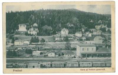 2710 - PREDEAL, Predeal, Railway Station - old postcard - used - 1928 foto