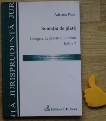 Somatia de plata culegere de practica judiciara Adriana Pena Ed 2 foto