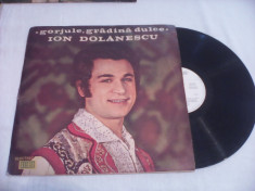 DISC VINIL ION DOLANESCU GORJULE GRADINA DULCE RARITATE!!!!EPE 0990 foto