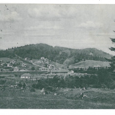 3966 - PREDEAL, Brasov, Panorama - old postcard - used - 1906